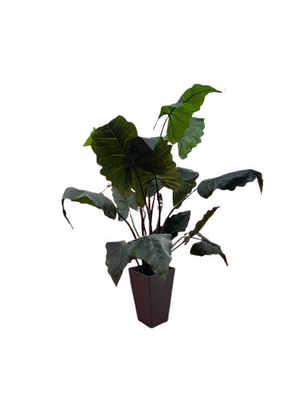 Materas con plantas